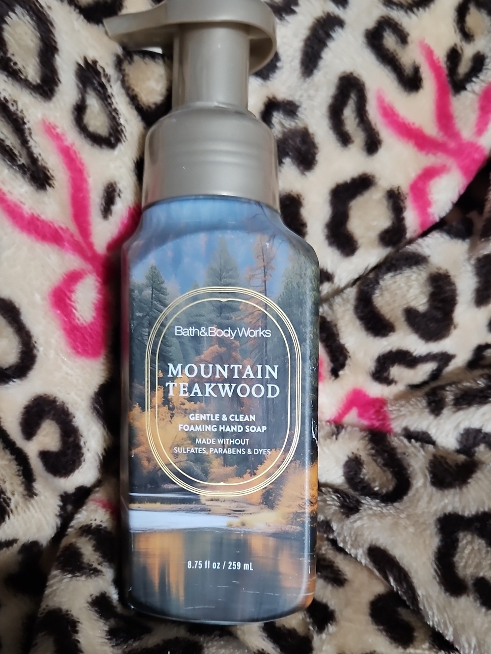 Bath & Body Works Mountain Teakwood Hand Soap